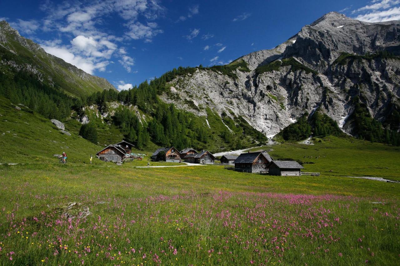 Apartments Haufhof , Haus Im Ennstal Bei Schladming Eksteriør bilde
